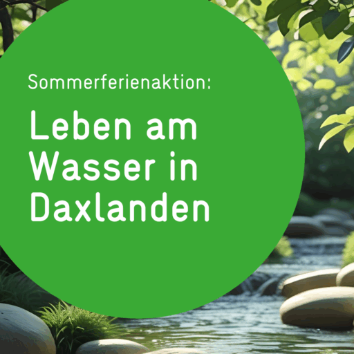 HInweisbild zur Ferienaktion mit dem Text "Sommerferienaktion – Leben am Wasser in Daxlanden" in einem grünen Kreis, im Hingergrund ein Wasserbld mit Zweigen und Blättern
