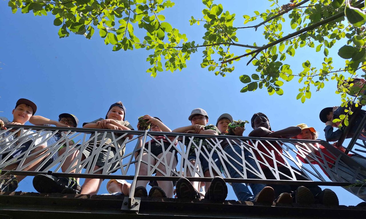 10 Kinder stehen auf einer Holzbrücke und schauen nach unten. Das Bild isit von unten fotografiert. Zu sehen sind noch blauer HImmerl und Äste mit grünen Blättern.